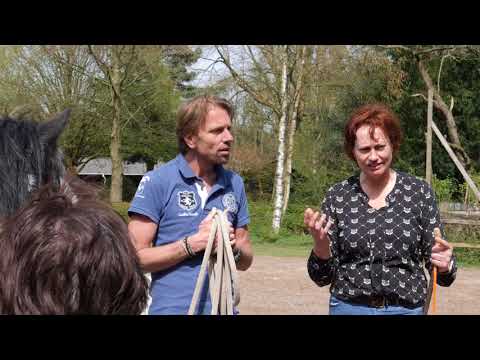 Video systemisch werken – thumbnail